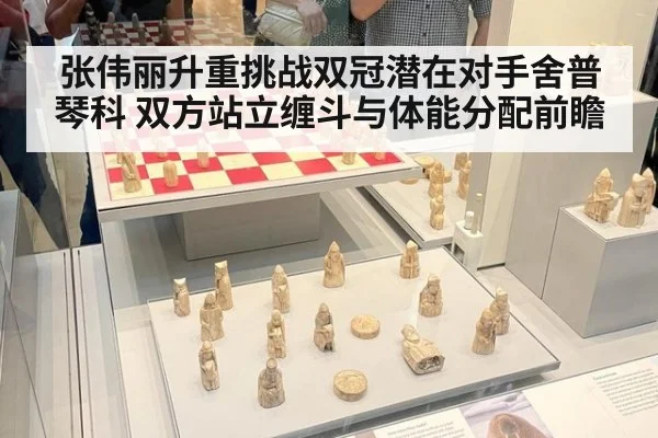 张伟丽升重挑战双冠潜在对手舍普琴科 双方站立缠斗与体能分配前瞻
